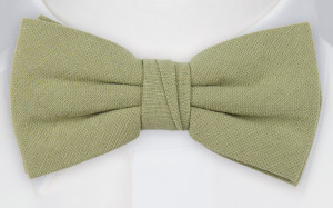 MOREAMORE Sage green Fliege