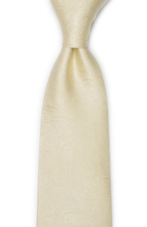ORNATE Champagne klassisch breite Krawatte