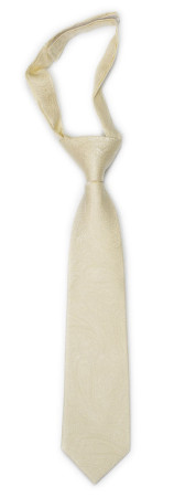 ORNATE Champagne kinderkrawatte klein vorgebundene