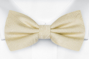 ORNATE Champagne Kinderfliege