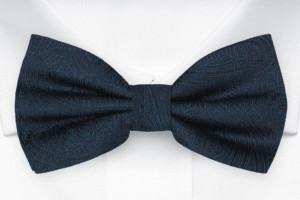ORNATE Dark blue Fliege