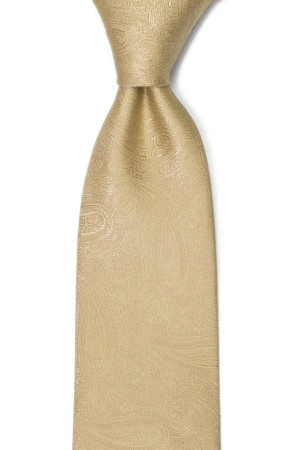 ORNATE Gold klassisch breite Krawatte
