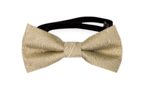 ORNATE Gold babyfliege