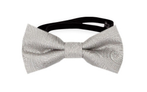 ORNATE Silver babyfliege