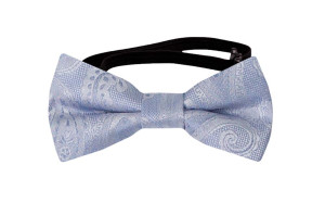PARANYMPH Light blue babyfliege