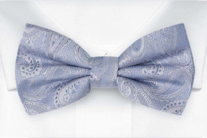 PARANYMPH Light blue Fliege