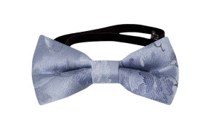 PROPOSAL Dusty blue babyfliege