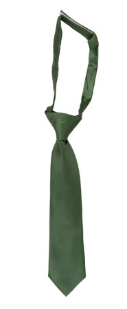 SATIN DARK SAGE kinderkrawatte klein vorgebundene
