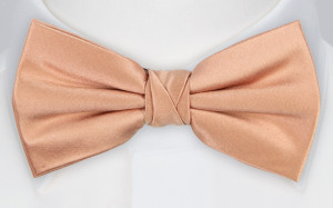Satin Peach Pink Fliege