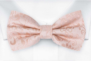 SAVETHEDATE Blush pink Fliege