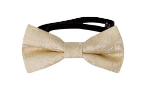 SAVETHEDATE Champagne babyfliege