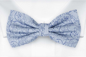 SCROLLER Light blue Fliege