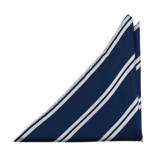 SIMPLYSTRIPED NAVY Einstecktuch