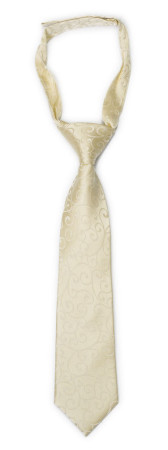 SNAZZY Champagne kinderkrawatte klein vorgebundene