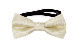 SNAZZY Champagne babyfliege