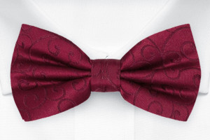 SNAZZY Dark red Fliege