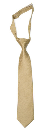 SNAZZY Gold kinderkrawatte klein vorgebundene