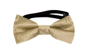 SNAZZY Gold babyfliege