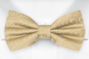 SNAZZY Gold Kinderfliege