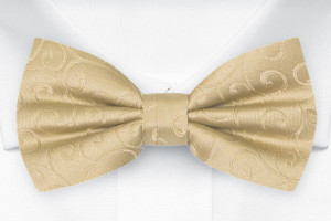SNAZZY Gold gebundene Fliege