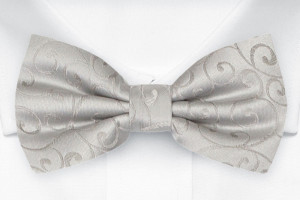 SNAZZY Silver Fliege