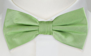SOLID Light green Fliege
