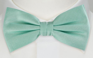 SOLID Light turquoise Fliege