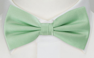 SOLID Pastel green Fliege