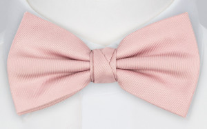 Solid Powder Pink Fliege