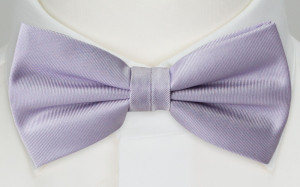 SOLID Powder purple Fliege