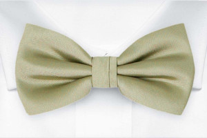 SOLID Sage green Fliege