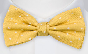 SPOTONDOT YELLOW Fliege