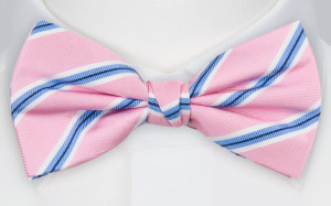 STRAIGHTONSTRIPE PINK Fliege