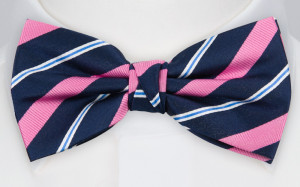 STRIPEFORWARD PINK Fliege