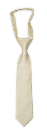 SWANKY Champagne kinderkrawatte klein vorgebundene