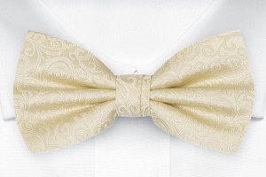 SWANKY Champagne Kinderfliege