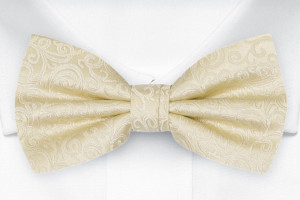 SWANKY Champagne Fliege