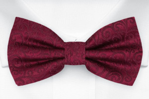 SWANKY Dark red Kinderfliege