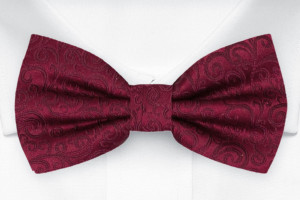 SWANKY Dark red Fliege