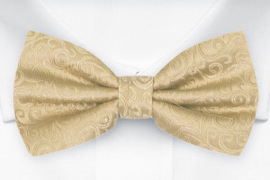 SWANKY Gold gebundene Fliege