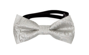 SWANKY Silver babyfliege