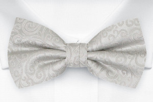 SWANKY Silver gebundene Fliege