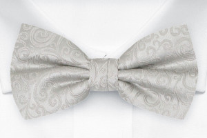SWANKY Silver Fliege