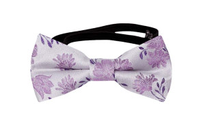 TOSSBLOSSOM Powder purple babyfliege