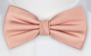 Twillie Blush Pink Fliege