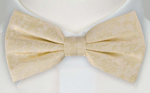 VIGSEL CHAMPAGNE Fliege