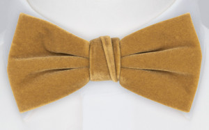 Velvet Butterscotch Beige Fliege
