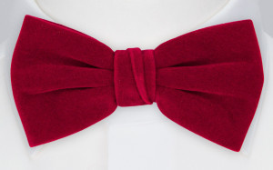 Velvet Maroon Fliege