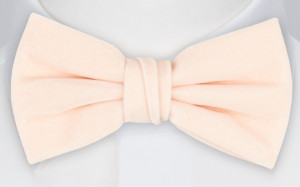 Velvet Powder Pink Fliege