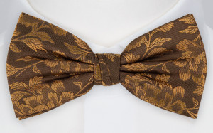 VIVACITY BRONZE Fliege